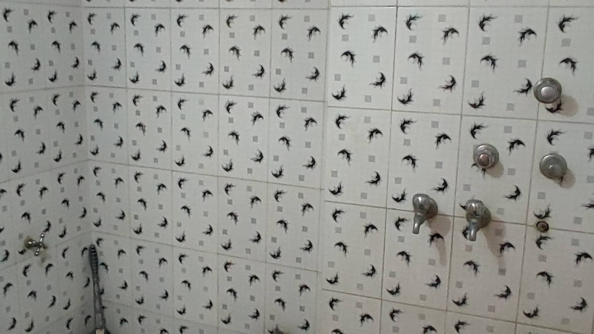 Rooms in Jaipur | Rahavaas Dekho
